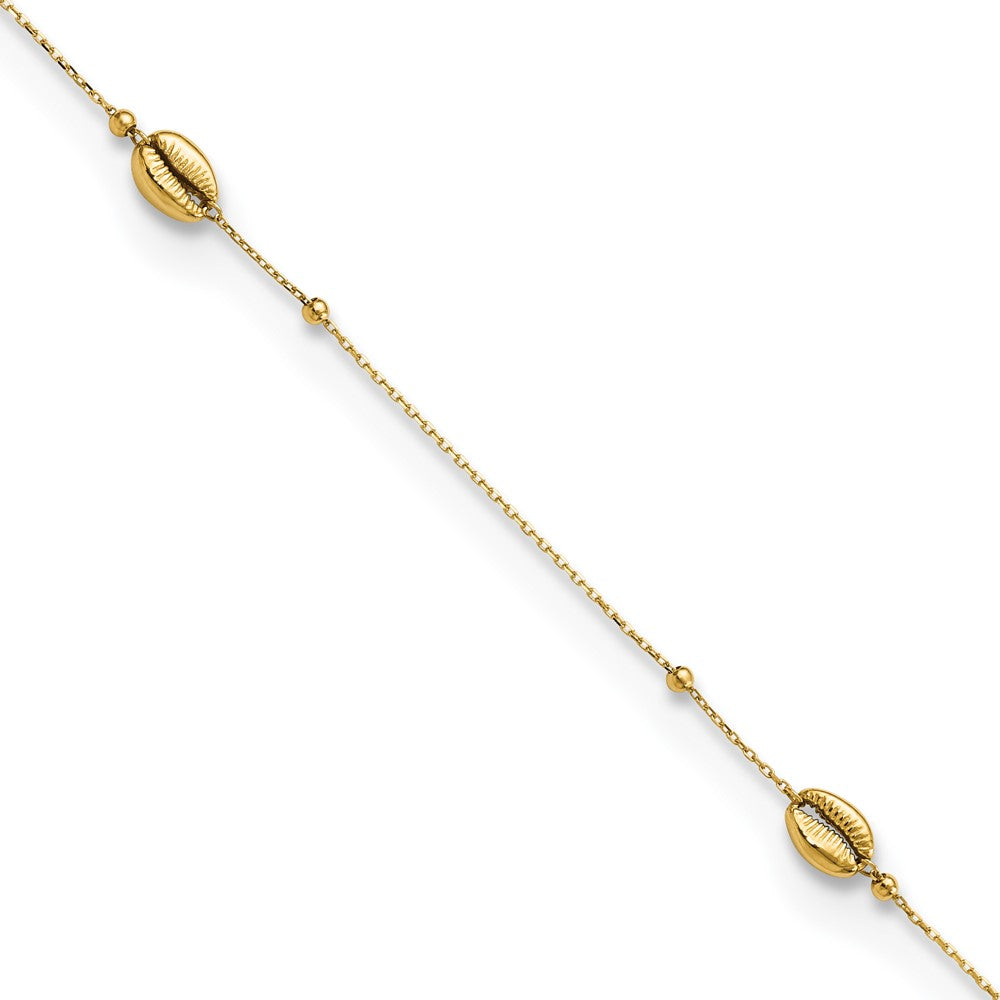 14K Polished Shells and Bead 9in Plus 1in ext. Anklet
